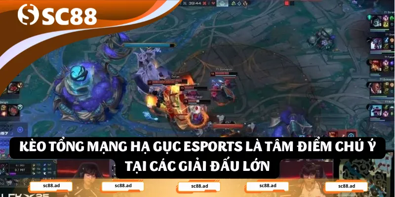 Kèo tổng mạng hạ gục Esports là tâm điểm chú ý tại các giải đấu lớn